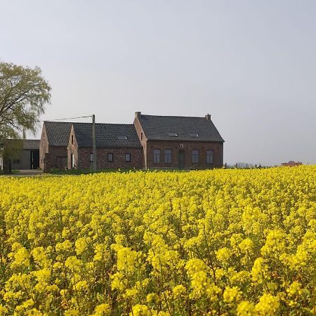 Spacious Holiday Home With Pond In Poperinge Roesbrugge-Haringe エクステリア 写真