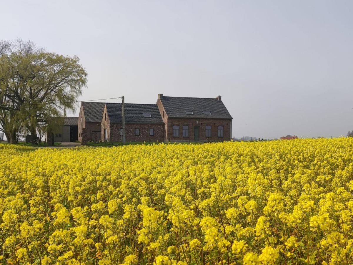 Spacious Holiday Home With Pond In Poperinge Roesbrugge-Haringe エクステリア 写真