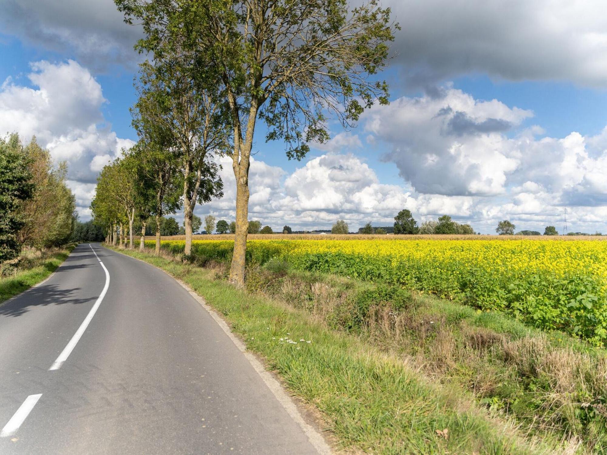 Spacious Holiday Home With Pond In Poperinge Roesbrugge-Haringe エクステリア 写真